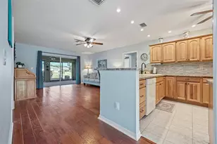 1207 Bluewater Dr, Sun City Center, FL 33573 - Photo 13