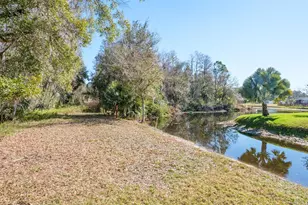 501 Lakeview Dr, Oldsmar, FL 34677 - Photo 65