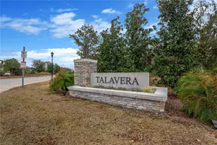 12407 Brick Cobblestone Dr, Riverview, FL 33579 - Photo 41