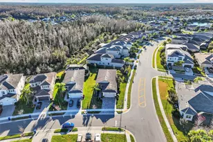 30724 Lindentree Dr, Wesley Chapel, FL 33543 - Photo 61