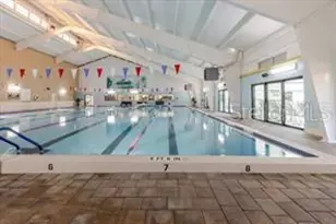 1007 Strawpocket Pl, Sun City Center, FL 33573 - Photo 47