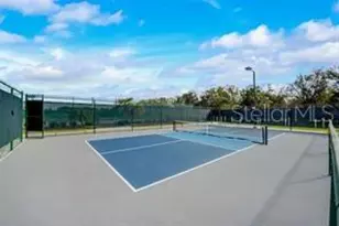 1007 Strawpocket Pl, Sun City Center, FL 33573 - Photo 59