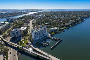 2 Adalia Ave, Tampa, FL 33606 - Photo 63