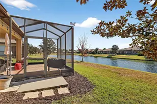 220 Shell Falls Dr, Apollo Beach, FL 33572 - Photo 39