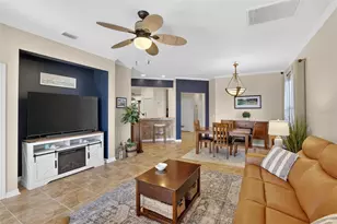 220 Shell Falls Dr, Apollo Beach, FL 33572 - Photo 19