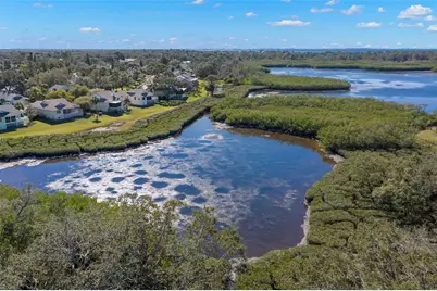 1013 Caravel Court, Tarpon Springs, FL 34689 - Photo 41