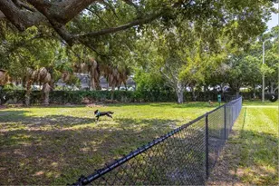 4311 La Vera Ct, Tampa, FL 33611 - Photo 33