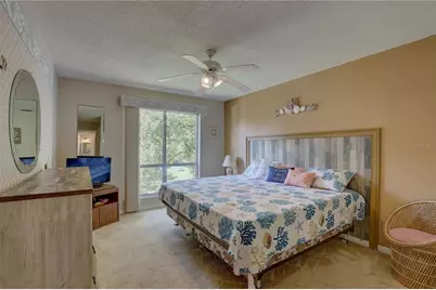 428 Windrush Bay Drive, Tarpon Springs, FL 34689 - Photo 23