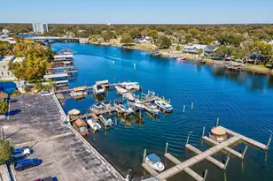 2107 W Cherry St, Tampa, FL 33607 - Photo 43