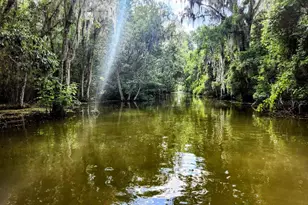 Pine Ridge Rd, Leesburg, FL 34748 - Photo 1