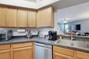 15819 Cedar Elm Terrace, Land O Lakes, FL 34638 - Photo 19