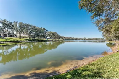 11604 Splendid Lane, Tampa, FL 33626 - Photo 51