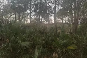 5600 NE 165th Terrace Rd, Silver Springs, FL 34488 - Photo 1