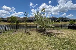 6244 English Hollow Rd, Tampa, FL 33647 - Photo 49