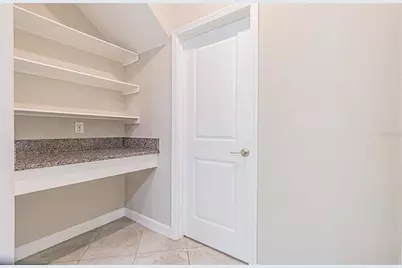 6244 English Hollow Road, Tampa, FL 33647 - Photo 45