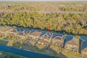 6244 English Hollow Rd, Tampa, FL 33647 - Photo 7