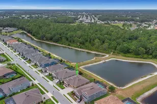 4239 Woodland Retreat Blvd, New Port Richey, FL 34655 - Photo 47