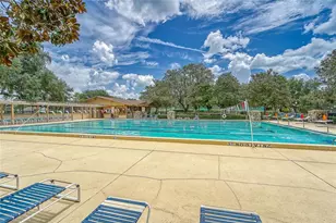 3522 Fox Squirrel Ln, Valrico, FL 33596 - Photo 73