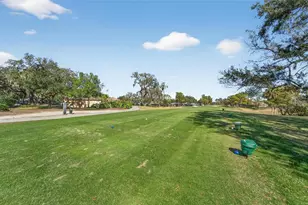 3522 Fox Squirrel Ln, Valrico, FL 33596 - Photo 13