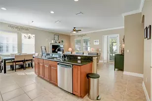 219 Sunset Crest Ct, Apollo Beach, FL 33572 - Photo 15