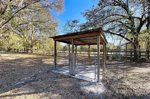 1303 E Trapnell Rd, Plant City, FL 33566 - Photo 41