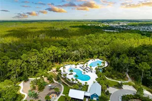 4058 Tour Trce, Land O Lakes, FL 34638 - Photo 55