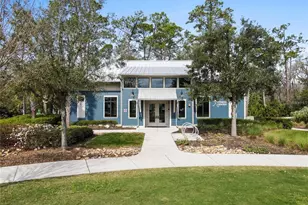 4058 Tour Trce, Land O Lakes, FL 34638 - Photo 57