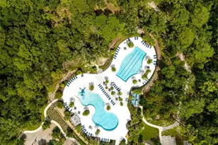 4058 Tour Trce, Land O Lakes, FL 34638 - Photo 53