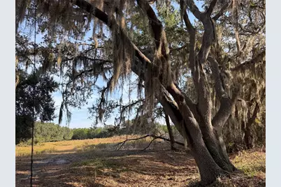 6966 E Turner Camp Road, Inverness, FL 34453 - Photo 9