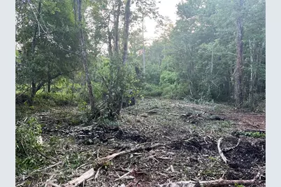 10117 Orland Street, New Port Richey, FL 34654 - Photo 3