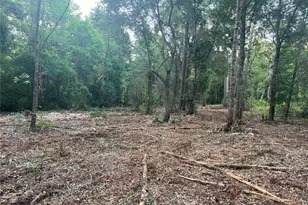 10117 Orland St, New Port Richey, FL 34654 - Photo 1