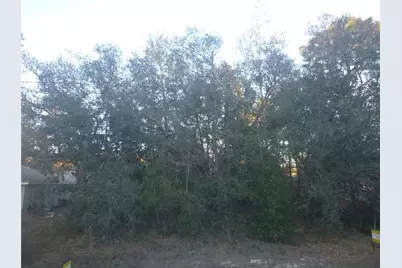 8253 N Krouse Way, Dunnellon, FL 34433 - Photo 3
