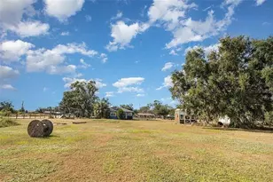 10820 S County Rd 39, Lithia, FL 33547 - Photo 7