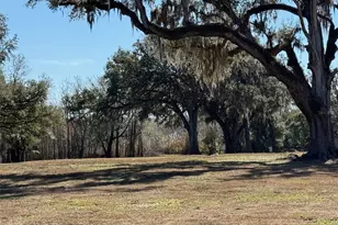 37214 Hester Rd, Dade City, FL 33525 - Photo 3