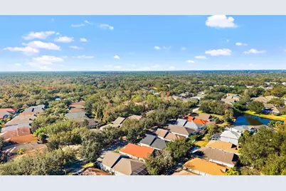 15501 Martinmeadow Drive, Lithia, FL 33547 - Photo 45