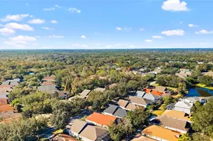 15501 Martinmeadow Dr, Lithia, FL 33547 - Photo 45