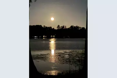 1006 Lake Cooper Drive, Lutz, FL 33548 - Photo 75