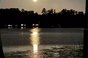 1006 Lake Cooper Dr, Lutz, FL 33548 - Photo 75