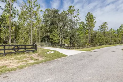15043 Hidden Deer Trail, Brooksville, FL 34614 - Photo 3