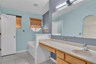 30244 Birdhouse Dr, Wesley Chapel, FL 33545 - Photo 11