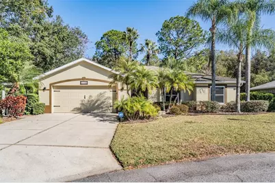 10133 Collar Drive, San Antonio, FL 33576 - Photo 1