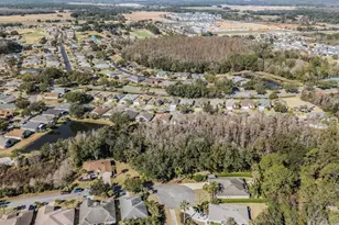 10133 Collar Dr, San Antonio, FL 33576 - Photo 49