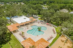 3533 Mossy Oak Cir, Land O Lakes, FL 34639 - Photo 3
