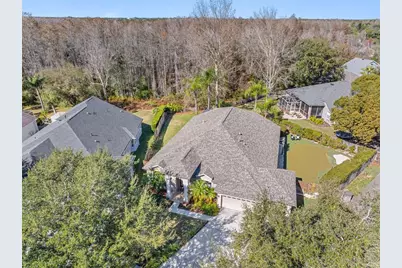 19321 Wind Dancer Street, Lutz, FL 33558 - Photo 3