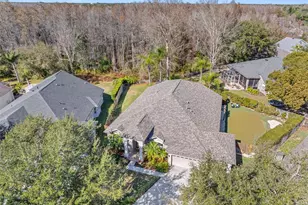 19321 Wind Dancer St, Lutz, FL 33558 - Photo 3