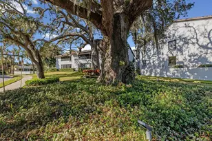 413 S Bayshore Blvd, Safety Harbor, FL 34695 - Photo 23