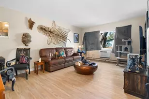 1301 N Lotus Dr, Dunedin, FL 34698 - Photo 11