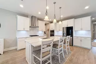 4312 Burdick Loop, Odessa, FL 33556 - Photo 11