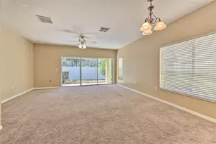 20424 Needletree Dr, Tampa, FL 33647 - Photo 13