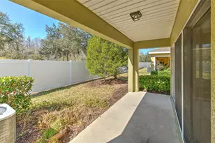 20424 Needletree Dr, Tampa, FL 33647 - Photo 29